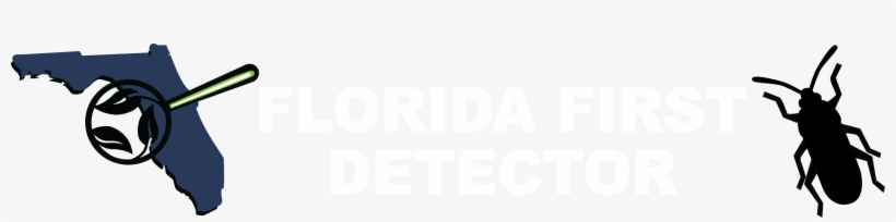 Ivory, transparent png #6266426