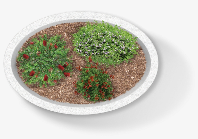 Moss, transparent png #6266820