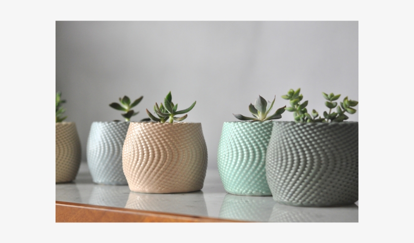 Succulent Planters - Clay, transparent png #6267333