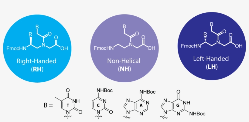 Akm Nasir Uddin Liked This - Diagram, transparent png #6268475