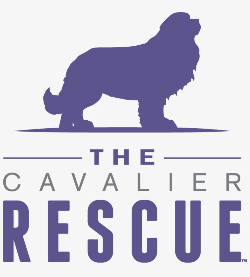 Derbyshire, transparent png #6268769