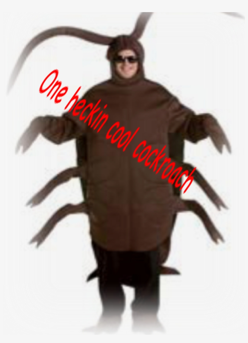 Follow @helloguineapig Quality Memes, Cursed Images, - Cockroach Costume, transparent png #6271153