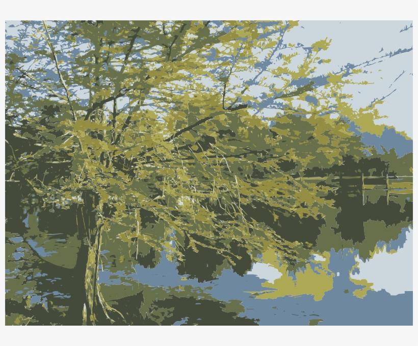 Reflection, transparent png #6272735