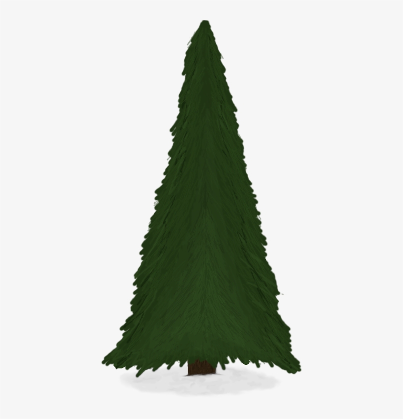 Key Copied To Clipboard - Tree, transparent png #6272854