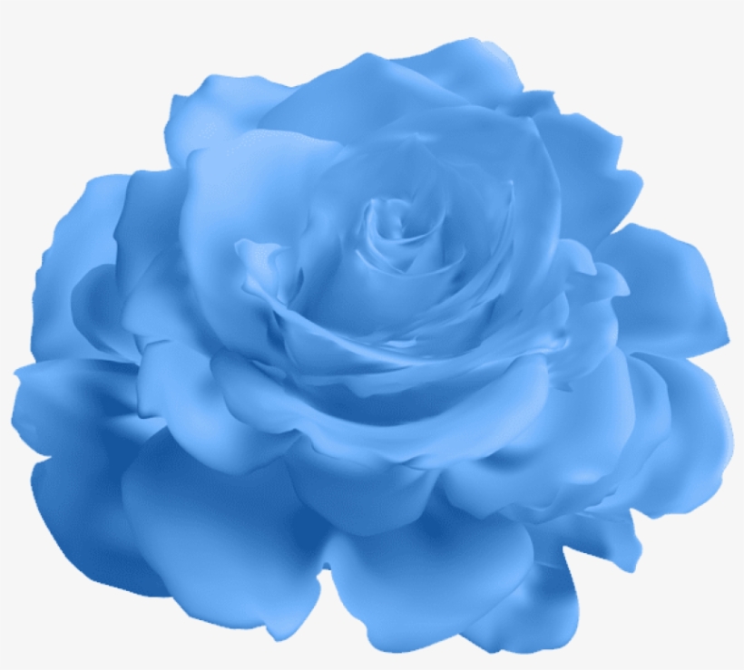 Blue Rose Transparent Png, transparent png #6273828