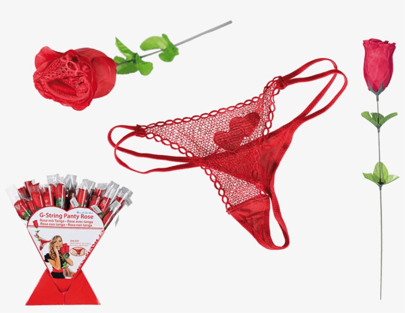 Tanga Rose, transparent png #6273884