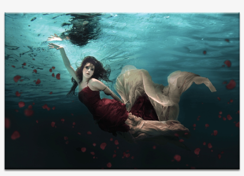 Ocean Of Roses - Latitude Run 'water Roses' Photographic Print On Canvas,, transparent png #6274245