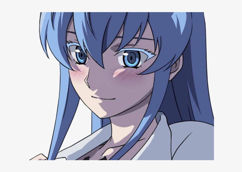 Lien Direct, 2018/02/1/1515403092 Esdeath Amoureuse - Akame Ga Kill!, transparent png #6274514