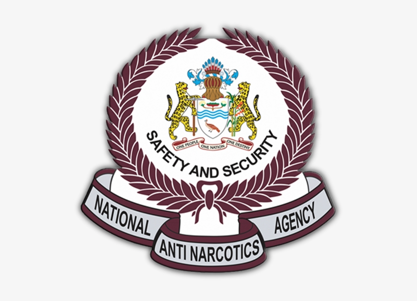 Nana Will Also Facilitate The Implementation Of Modern - Guyana Coat Of Arms Journal, transparent png #6274801