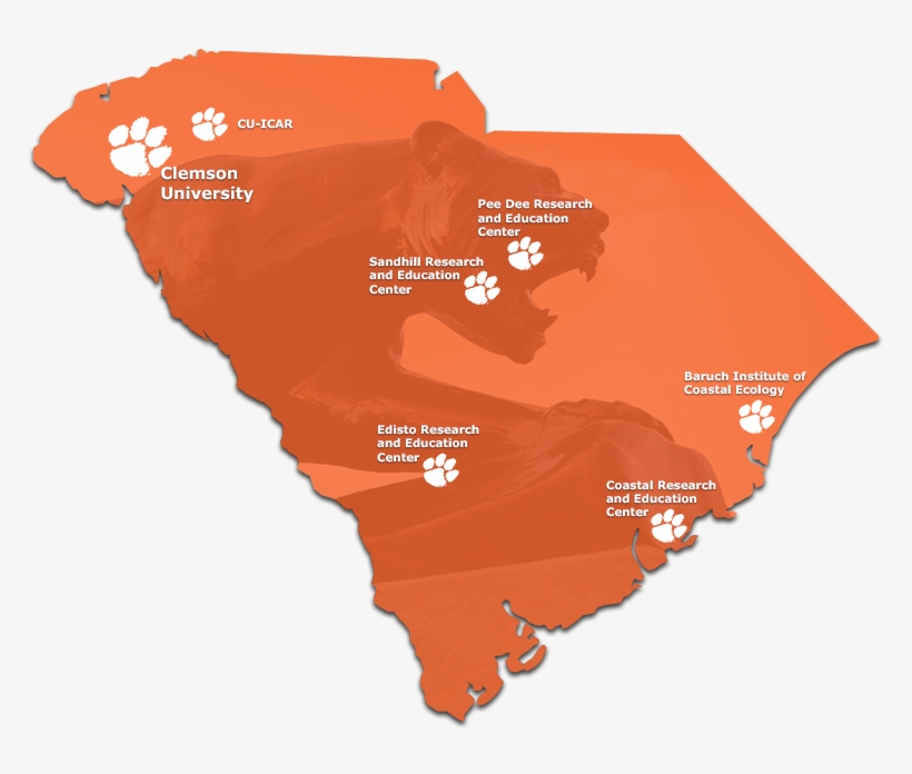 Living In Clemson - Clemson Sc Map, transparent png #6274923