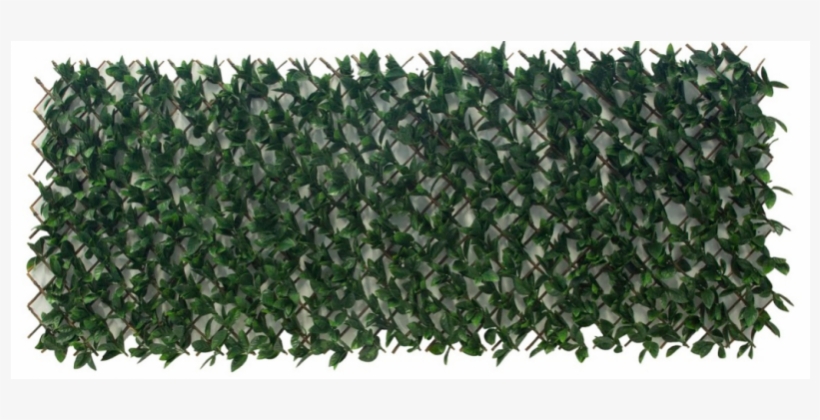 100x200cm Artificial Unreal Plant Walls- Fern - Portable Network Graphics, transparent png #6275396