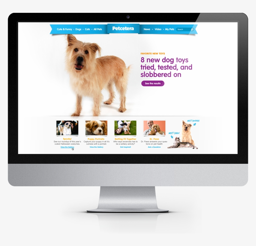 Pets Home 01 - Auto Service, transparent png #6275652