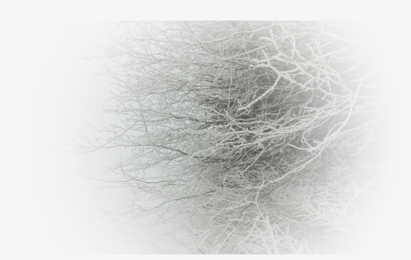 Circle, transparent png #6279182