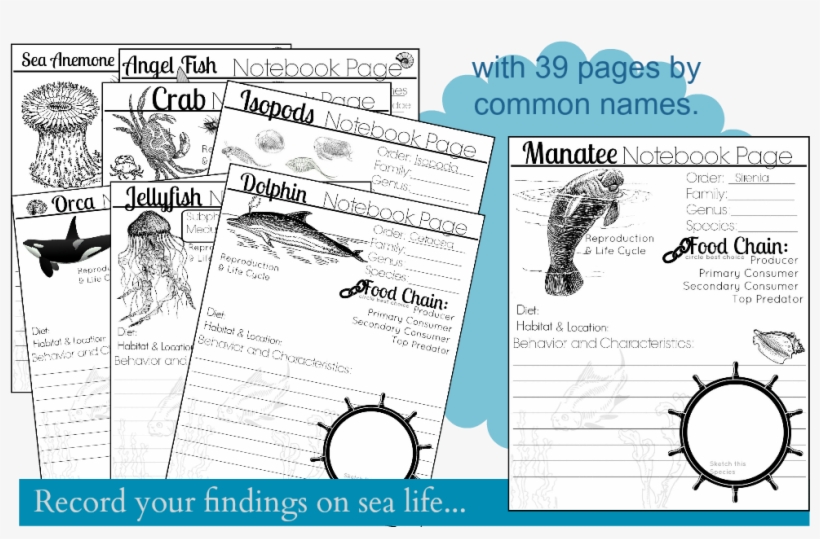 Cartoon, transparent png #6279627