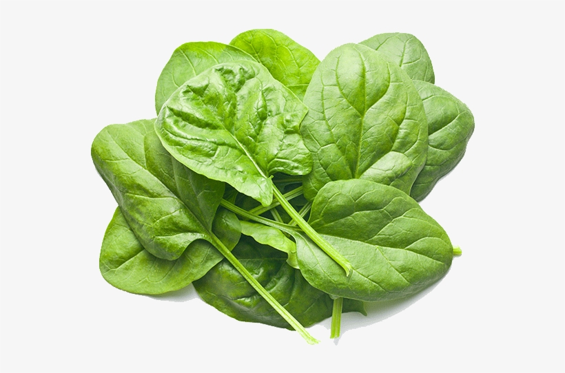 Baby Spinach - Reusable Food Pouch (6 Pack) By Hello Little Monsters, transparent png #6280085