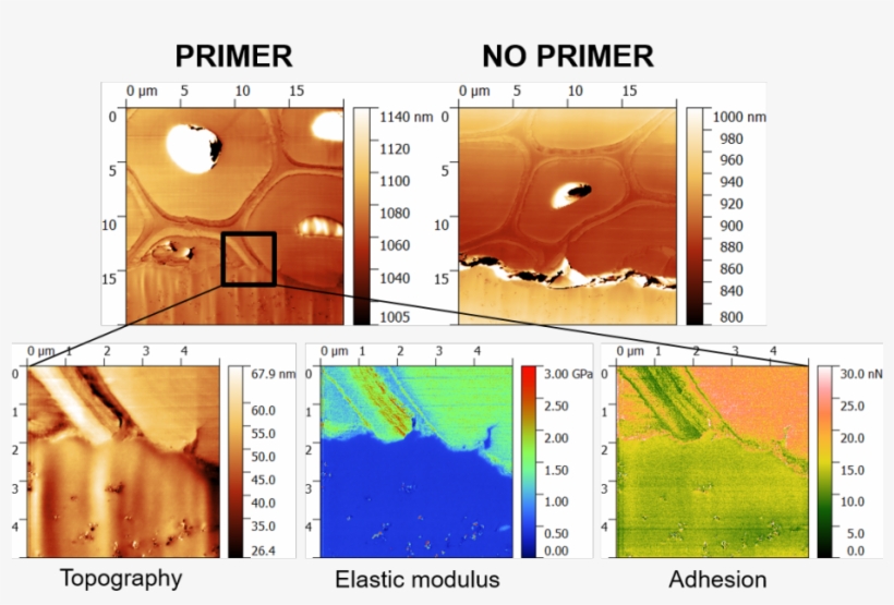 Characterization Of Wood, Adhesive And Primer Systems - Adhesive, transparent png #6280255