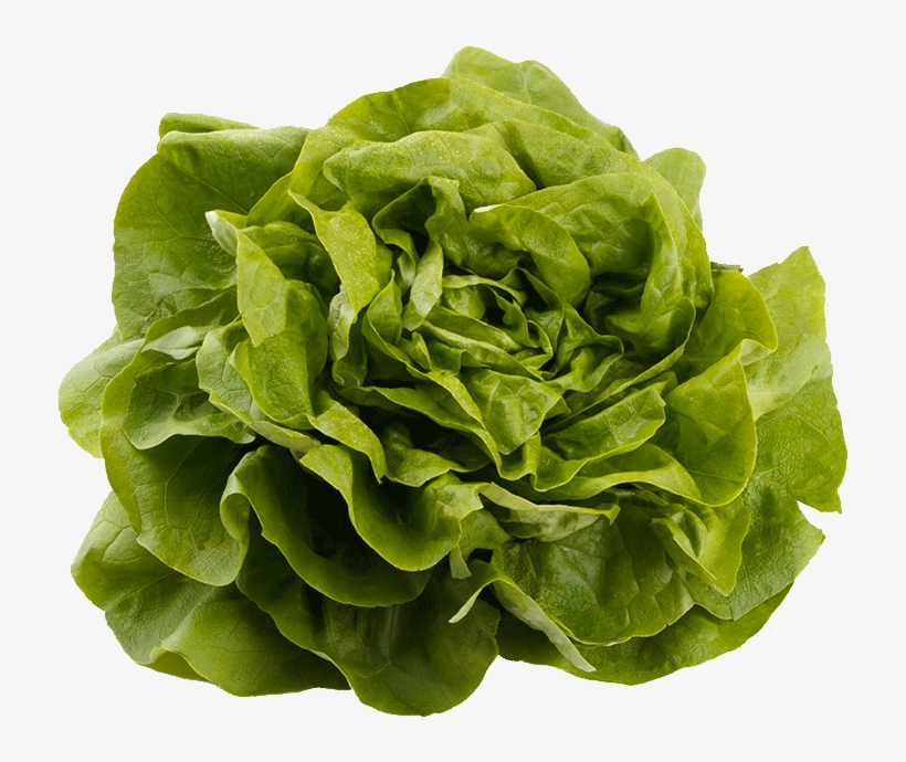 Kweik Iceberg Lettuce - سبزی اسفناج, transparent png #6280366