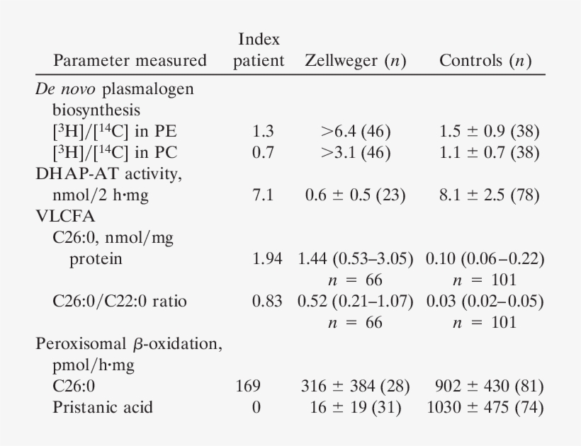 Biochemical Findings In Fibroblasts Of The Index Patient,, transparent png #6280367