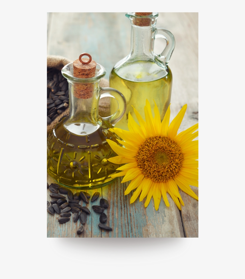 08refined Sunflower Oil - Sunflower Oil, transparent png #6280371