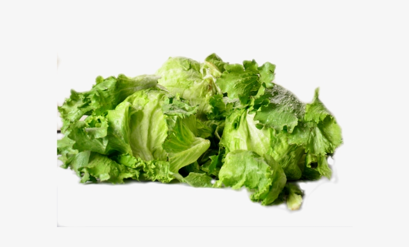 Lettuce - Romaine Lettuce, transparent png #6280581