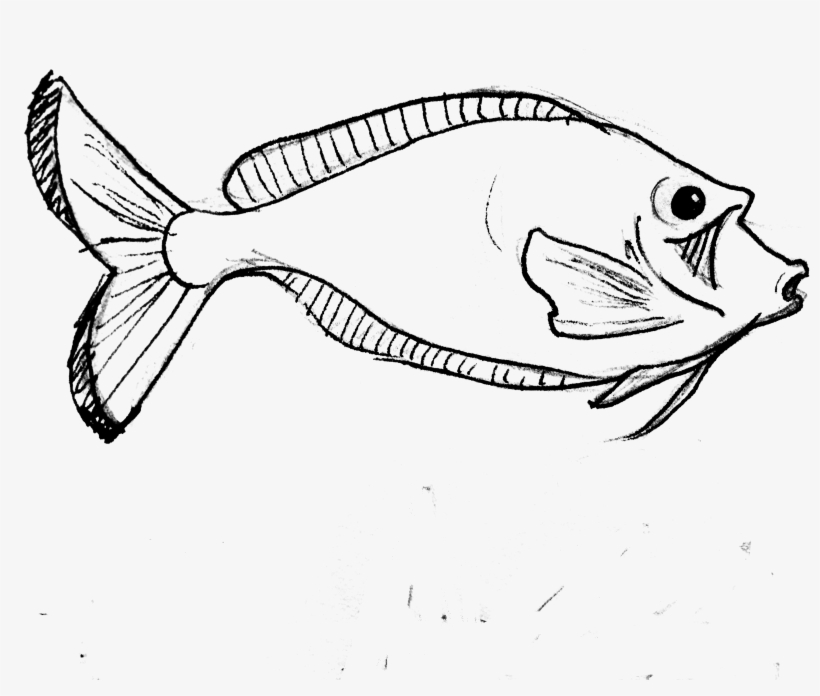 Clip Art Realistic Banner Royalty Free - Parrot Fish Line Art, transparent png #6282221