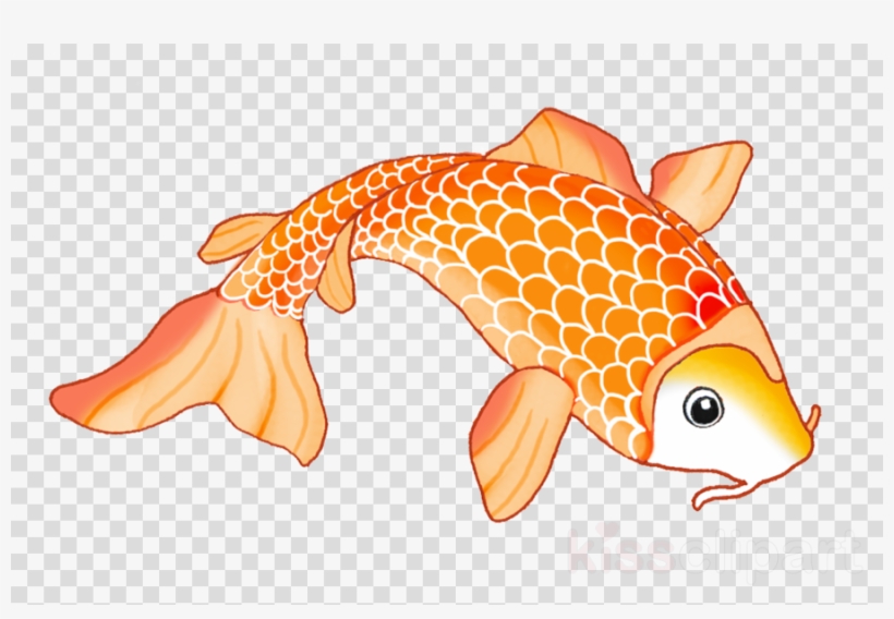 Koi Fish Drawing Orange Clipart Koi Goldfish Drawing - Wrigley Field, transparent png #6282737