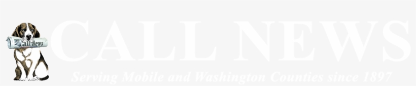 Call News - Wordpress, transparent png #6283545