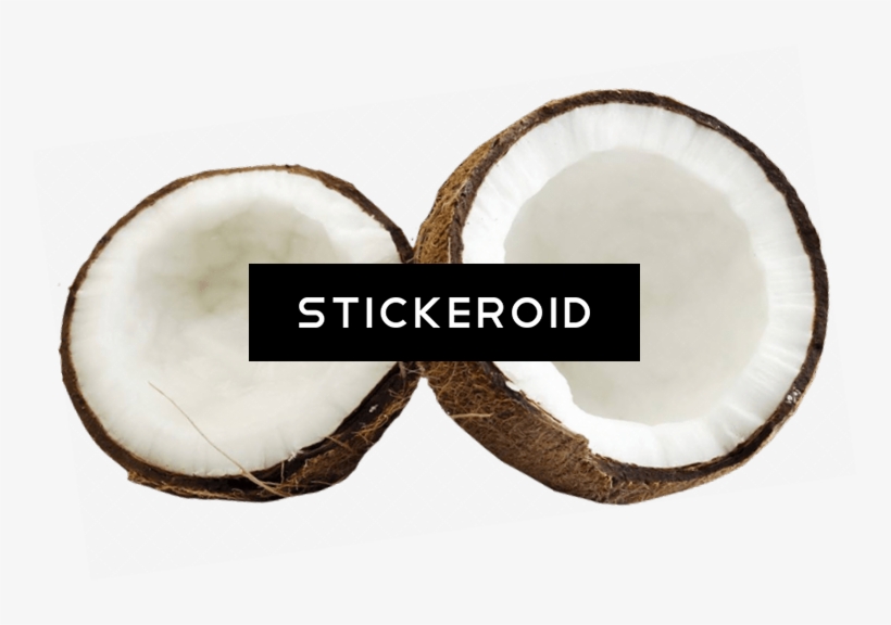 Coconut - Cocos Nucifera, transparent png #6285095