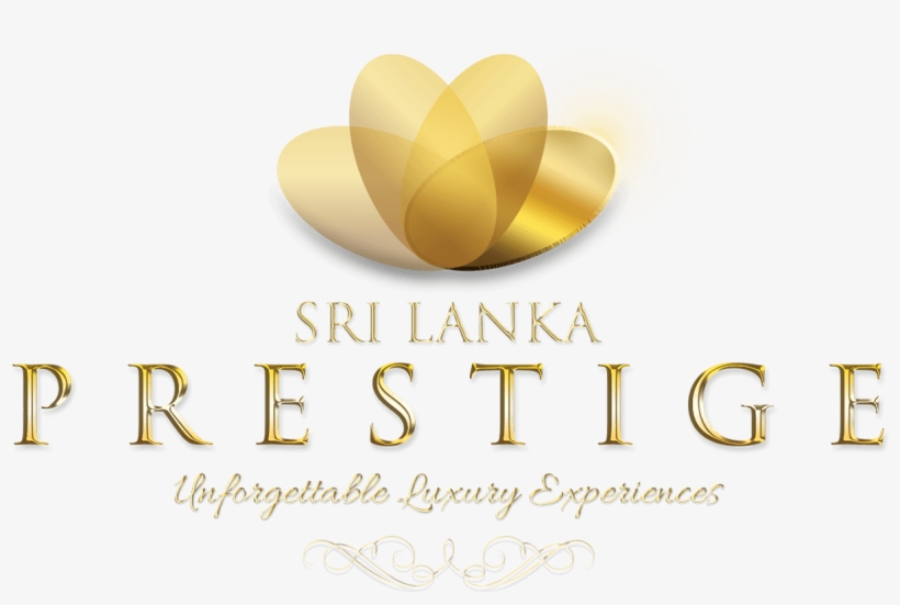 Image Image Image Image - Instagram, transparent png #6285172