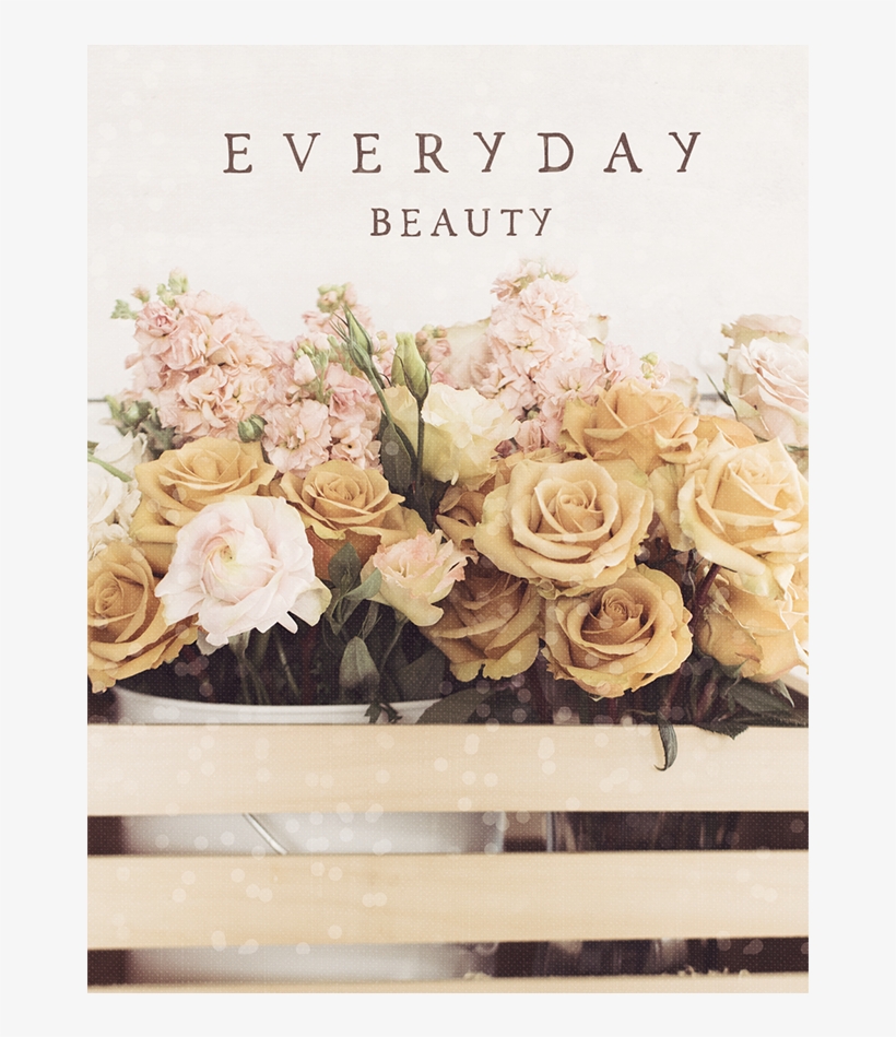 994981 2 - Garden Roses, transparent png #6285764