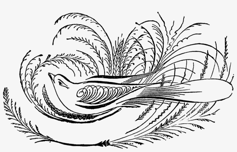 This Is Another Lovely, Antique Label Digital Stamp - Calligraphic, transparent png #6286284