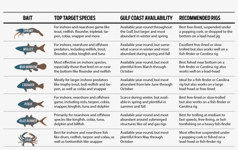 Fishing With Live Bait - Paper, transparent png #6287843