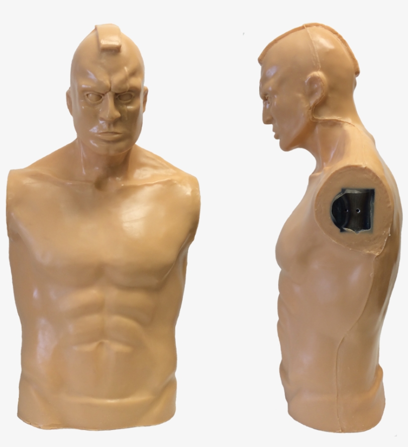 Hawk Torso - Upper Limb, transparent png #6291277