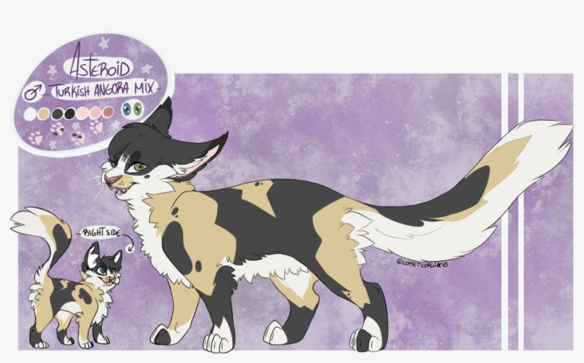 #asteroidcat Hashtag On Twitter - Cartoon, transparent png #6293448