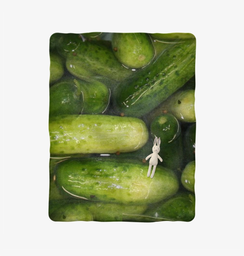 Pickles Sublimation Baby Blanket, transparent png #6295297