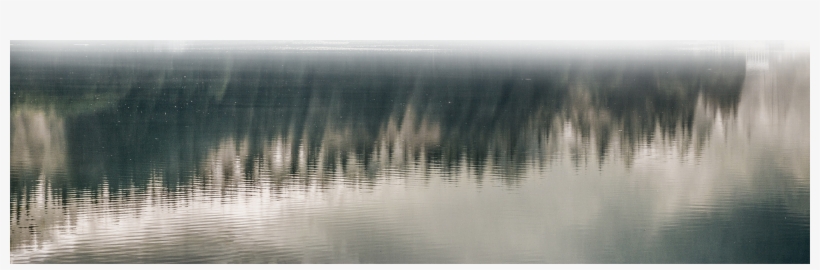 Close - Foggy Forest, transparent png #6298065