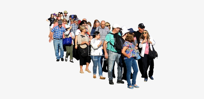 Need A Big Group Of People Standing In Line In The - Crowd, transparent png #630951