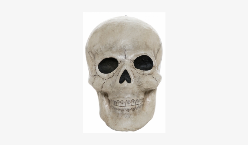 Skull, transparent png #631333