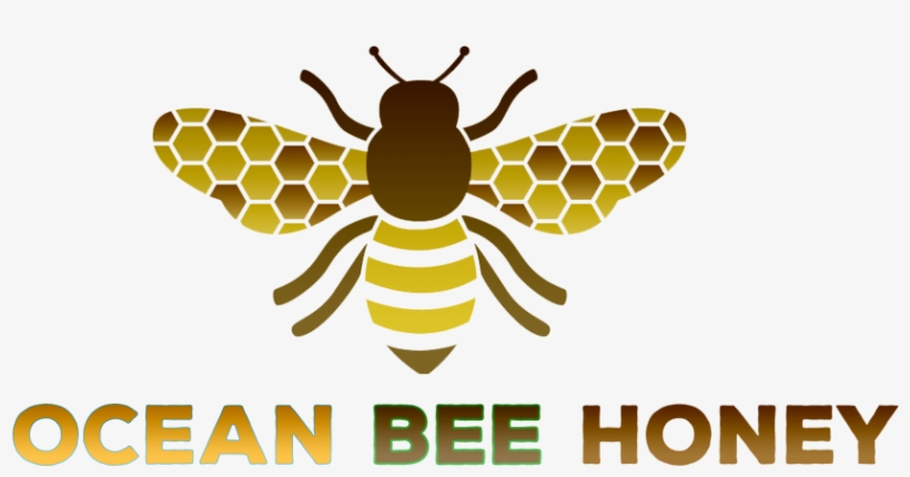 Best Manuka Honey Brand - Transparent Bee Honey Png, transparent png #631521