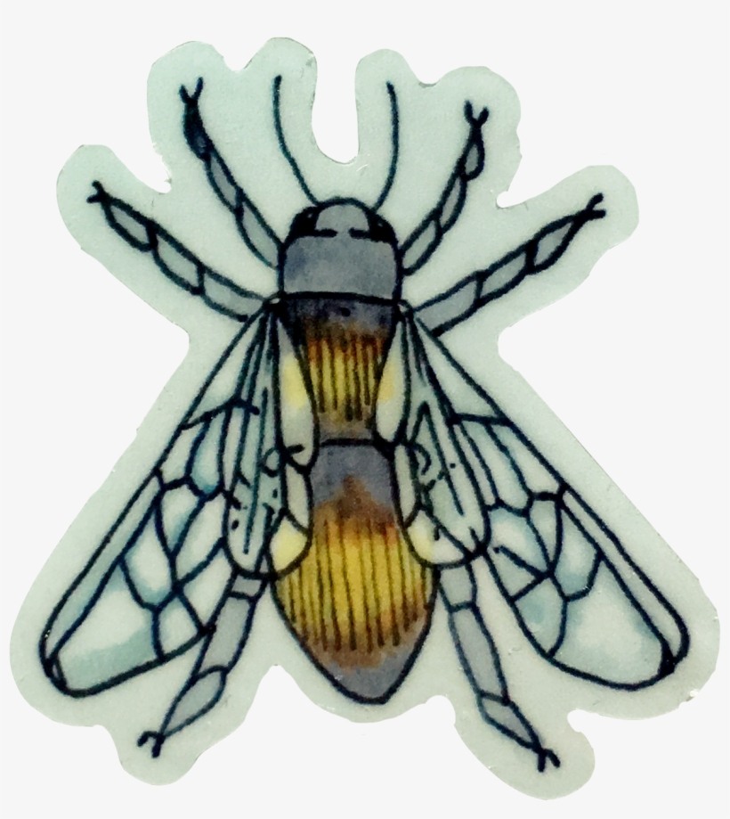 Water, transparent png #632062