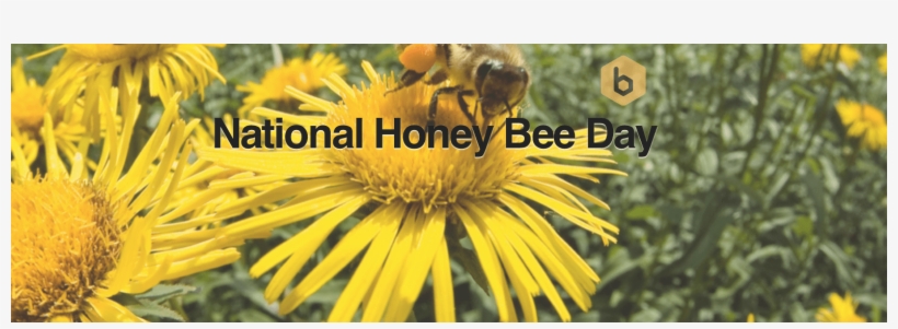 National Honeybee Day 2017, transparent png #632438