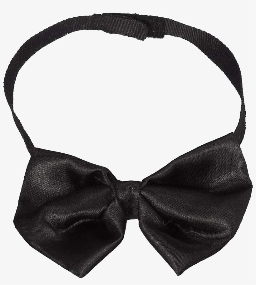 Whatzupwiththat - Fashion Accessory, transparent png #632528