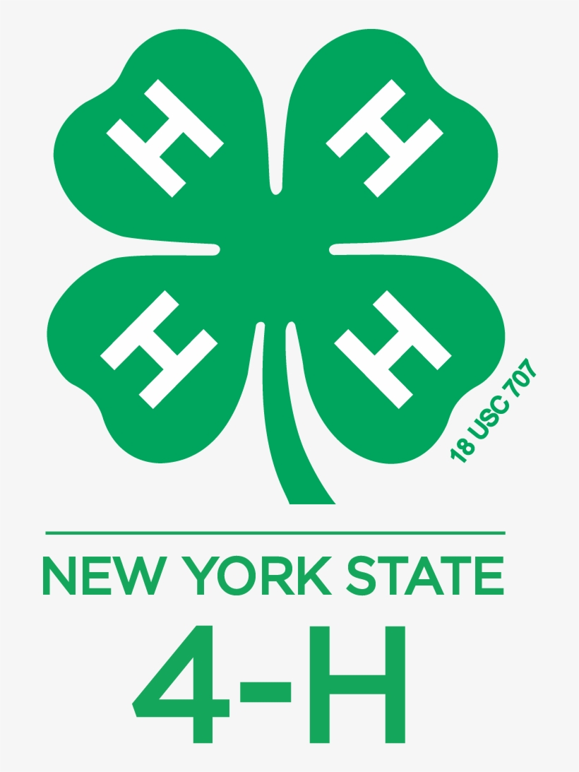 Nys 4h Logo Vert - 4 H Clover, transparent png #632898