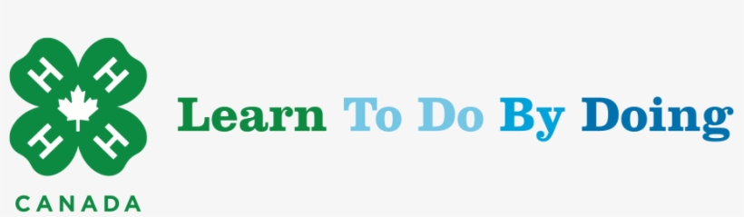Home - Graphic Design, transparent png #632928