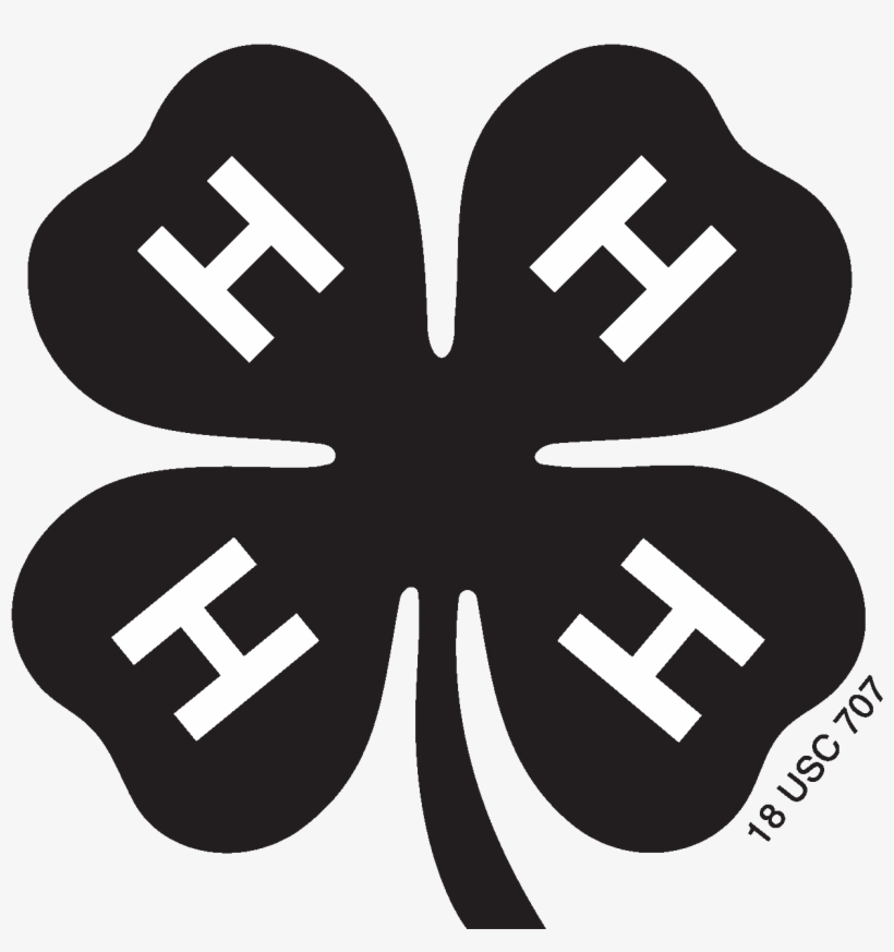 Black And White Library Digital Marketing Resources - Arizona 4h, transparent png #633769
