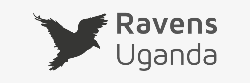 We Train, Mentor And Disciple Underprivileged Youth - Bird, transparent png #634446