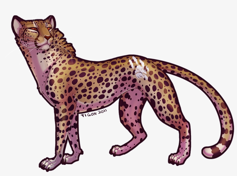 A Cheetah By Tigon - Cheetah Deviantart, transparent png #635192