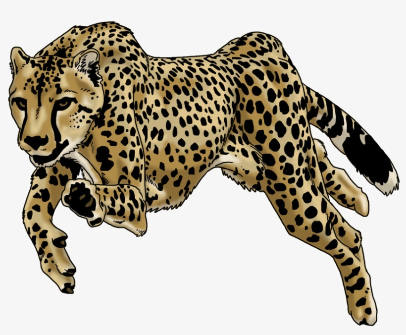 Running Cheetah Png High-quality Image - Drawn Pics Of A Cheetah Running, transparent png #635269