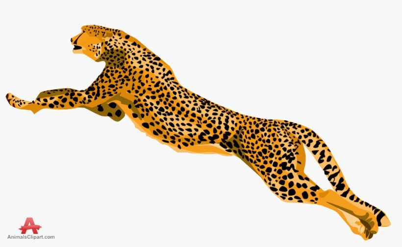 Cheetah Png Download Image - Jumping Cheetah Clipart, transparent png #635368