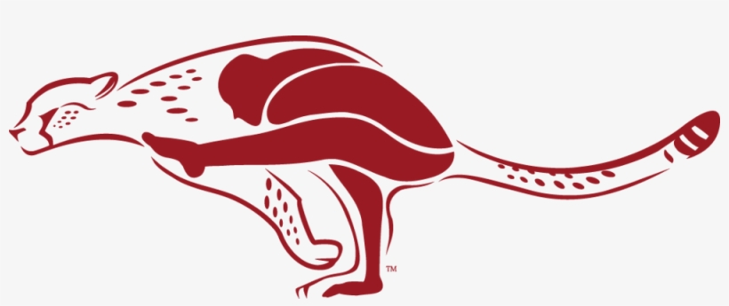 Cheetah Clipart Real - Cheetah Doing Yoga, transparent png #635389